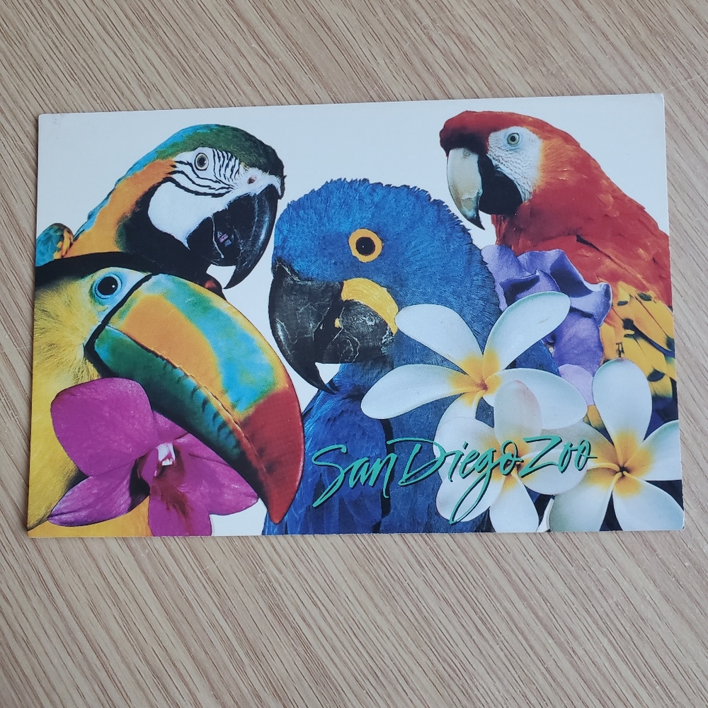 Vintage San Diego Zoo Postcards 4x6 Flamingo Condor Macaws Toucan Conure Lory - Picture 6 of 9